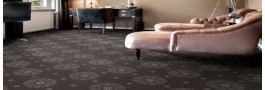 Nelson * 240 mp | Arc Edition | Suite Symphony